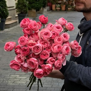 Boomerang Spray Peony Rose