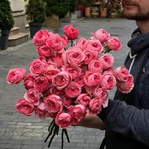 Boomerang Spray Peony Rose