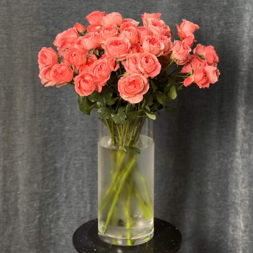 Boomerang Spray Peony Rose