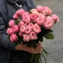 Northanger Abbey Spray Peony Rose