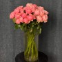 Northanger Abbey Spray Peony Rose