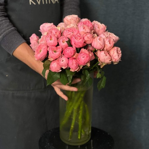 Northanger Abbey Spray Peony Rose