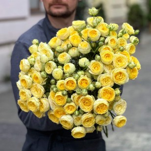 Кущова півонієвидна троянда Lemon Trendsetter