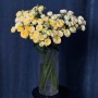 Lemon Trendsetter Spray Peony Rose