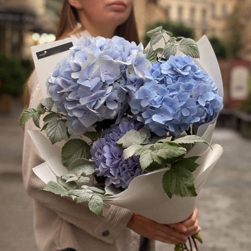 Bouquet of 3 Blue Hydrangeas with Raspberry Twigs «October Sky»