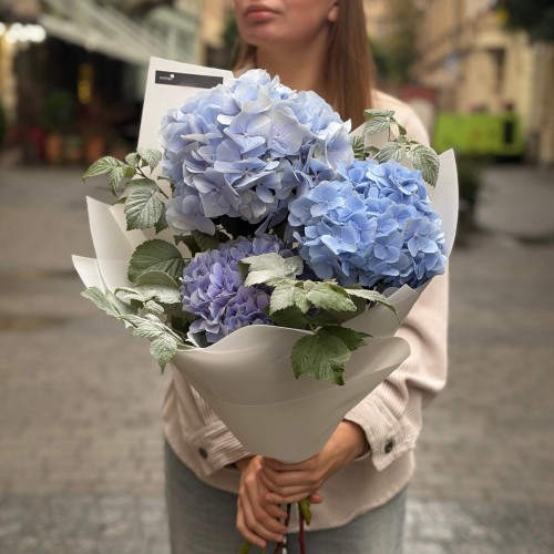 Bouquet of 3 Blue Hydrangeas with Raspberry Twigs «October Sky»