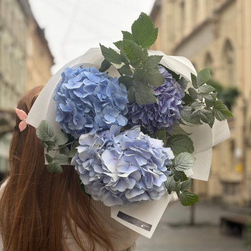 Bouquet of 3 Blue Hydrangeas with Raspberry Twigs «October Sky»