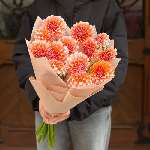 Bouquet of 13 Peaches N' Cream Dahlias «Moment of Happiness»