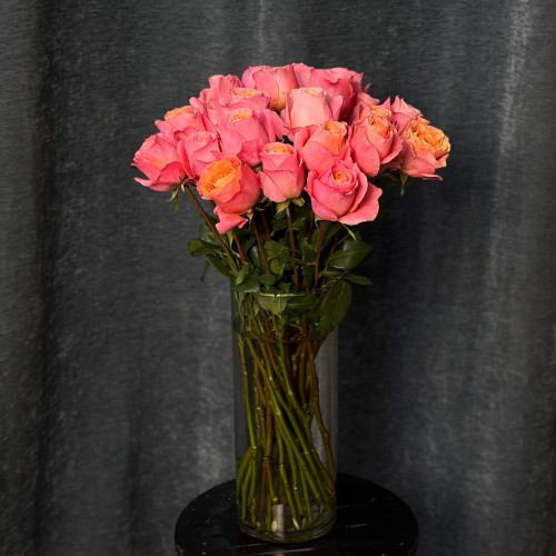Bit More Peony-Style Rose