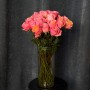 Bit More Peony-Style Rose