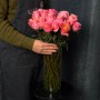 Bit More Peony-Style Rose
