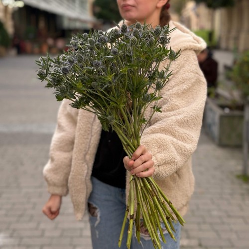 Эрингиум синий