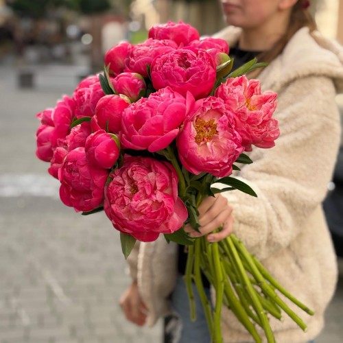 Півонія Coral Charm