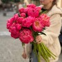 Півонія Coral Charm