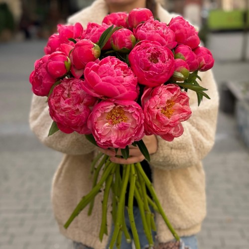 Півонія Coral Charm