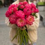 Півонія Coral Charm