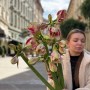 Amaryllis