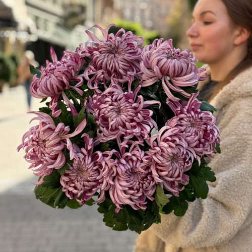 Vienna Chrysanthemum