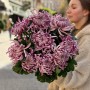 Vienna Chrysanthemum