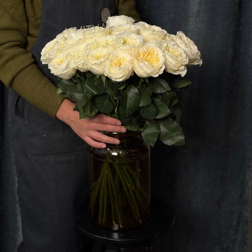 Vicky Gardens Peony Rose