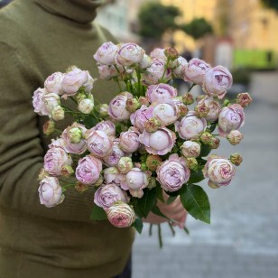 Троянда кущова півонієвидна Blossom Bubbles