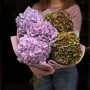 5 осінніх гортензій у букеті «Чорничне небо»