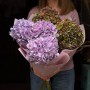 5 осінніх гортензій у букеті «Чорничне небо»
