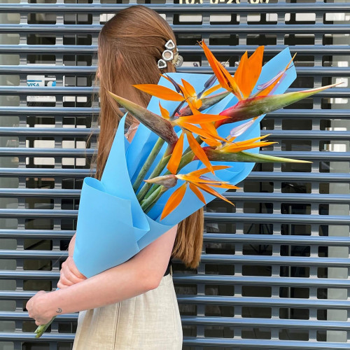 5 стреліцій у букеті «Кольорова колібрі»