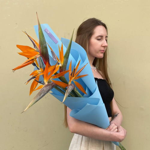 5 стреліцій у букеті «Кольорова колібрі»