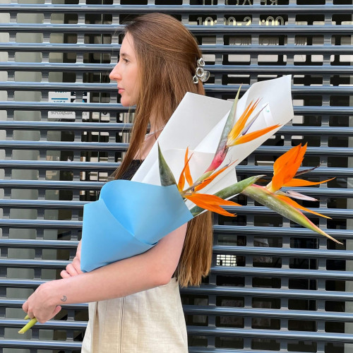 3 стреліції у букеті «Пташечки для тебе»