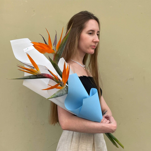 3 стреліції у букеті «Пташечки для тебе»