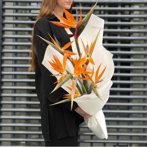 7 strelitzias in a bouquet «Magic bird»