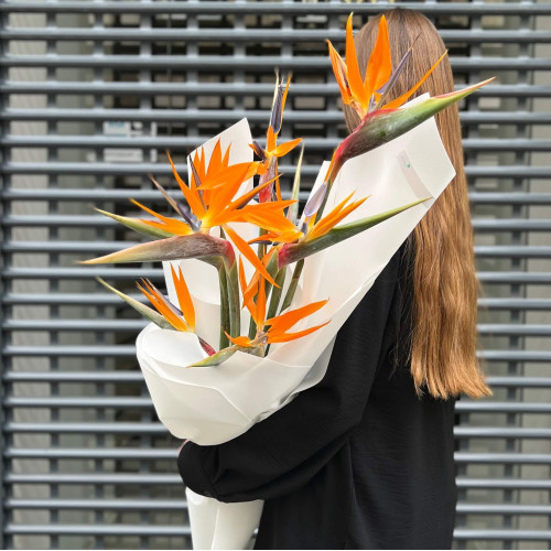 7 strelitzias in a bouquet «Magic bird»
