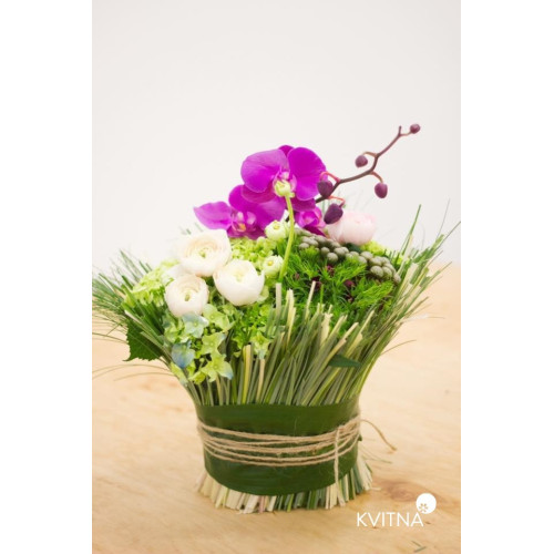 Сніп з екзотичним акцентом