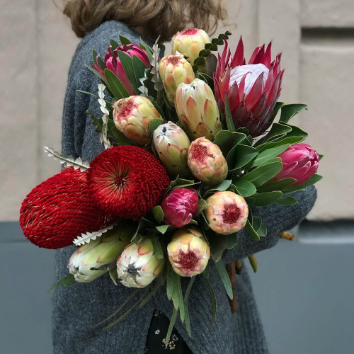 Мікс Протея