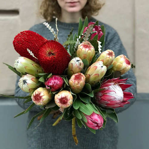 Мікс Протея