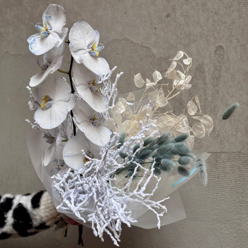 Winter bouquet with premium phalaenopsis «Frosty Pattern»