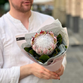 Букет-комплімент із протеї «Каліфорнійська зірка»