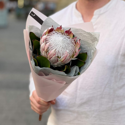 Букет-комплімент із протеї «Каліфорнійська зірка»