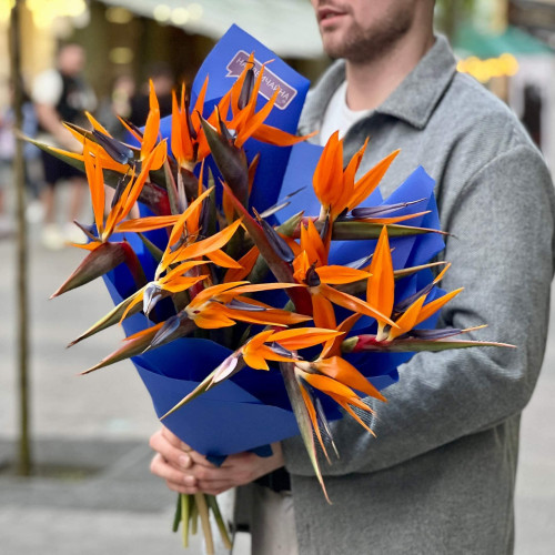 15 strelitzias in a bouquet «Exotic bird»