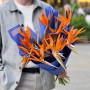 15 strelitzias in a bouquet «Exotic bird»