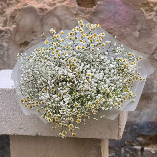 Пухнастий букет із танацетума та гіпсофіли «Бурхливе поле»