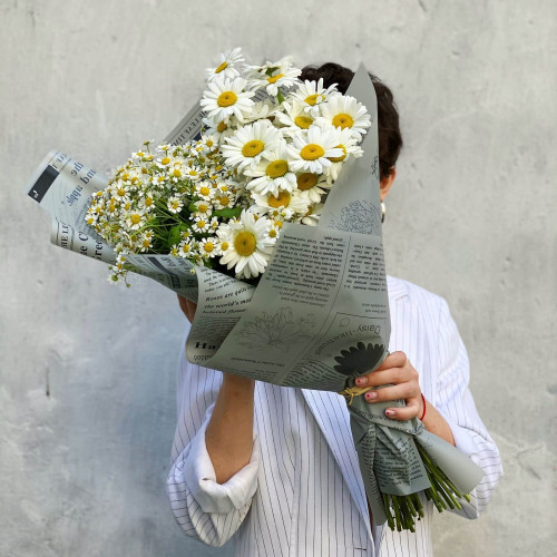 Польові ромашки