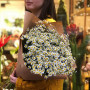 Bouquet of daisies