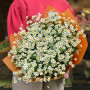 Bouquet of daisies