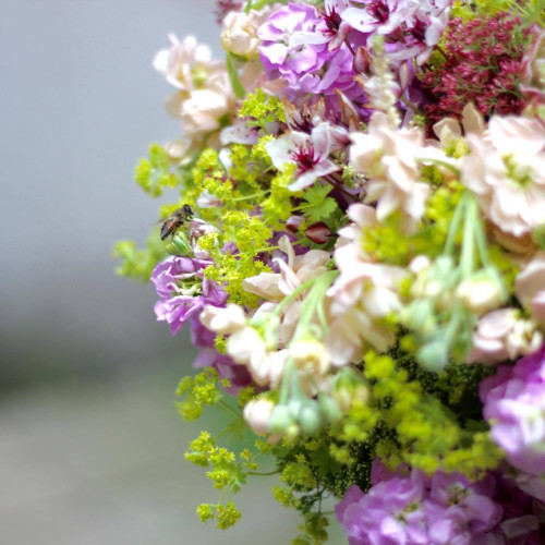 Польовий букет Медове поле