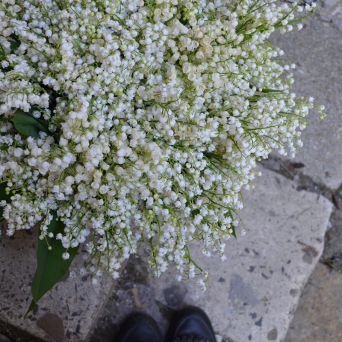 Кошик конвалій