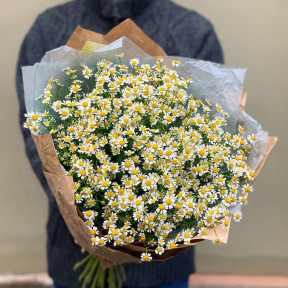 Bouquet «Sunny tanacetum»