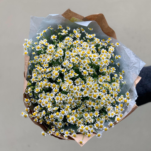 Bouquet «Sunny tanacetum»