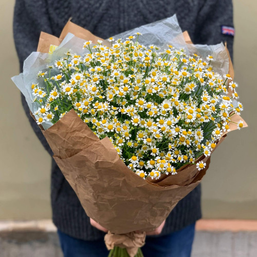 Bouquet «Sunny tanacetum»